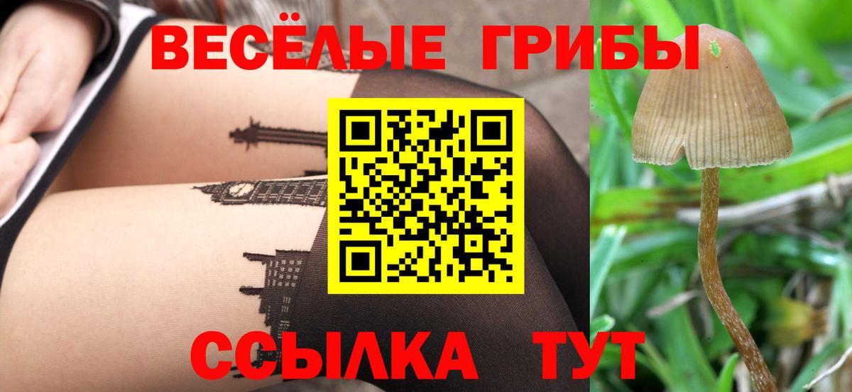 Карабулак  Галлюциногенные грибы Cubensis  купить наркотики сайты  Вход с VPN  Псилоцибиновые грибы мухоморы 